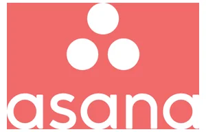 Asana – Wdrożenie w średniej firmie