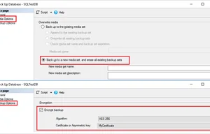 Backup baz danych SQL Server